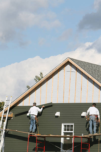 Best Vinyl Siding Installation  in Lady Lake, FL